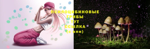 mix Осинники