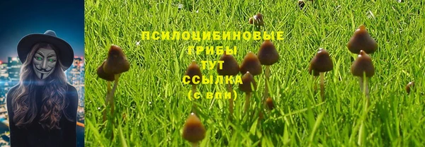 бутират Арсеньев